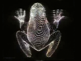 frogprint